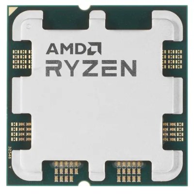 AMD Ryzen 5 8600G OEM