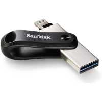 SanDisk 256GB SDIX60N-256G-GN6NE