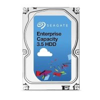 Seagate Enterprise Capacity 4Tb ST4000NM0035
