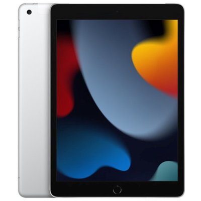 Apple iPad 2021 10.2 Wi-Fi 256Gb Silver MK2P3ZP/A