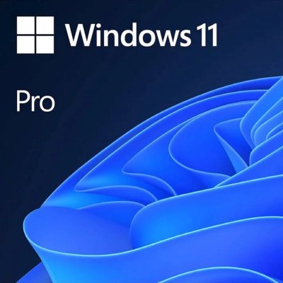 Microsoft Windows 11 Professional FQC-10528