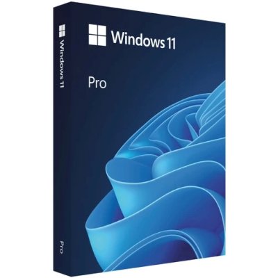 Microsoft Windows 11 Professional HAV-00162