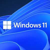 Microsoft Windows 11 Professional FQC-10548