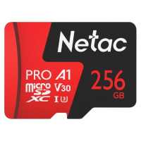 Netac 256GB NT02P500PRO-256G-S