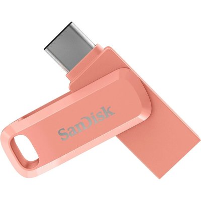 SanDisk 256GB SDDDC3-256G-G46PC